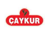 Caykur